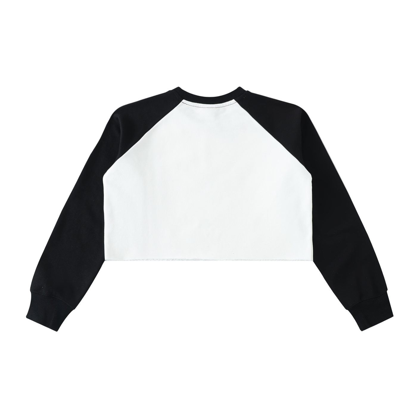 Occult Fan Club Crop Sweatshirt
