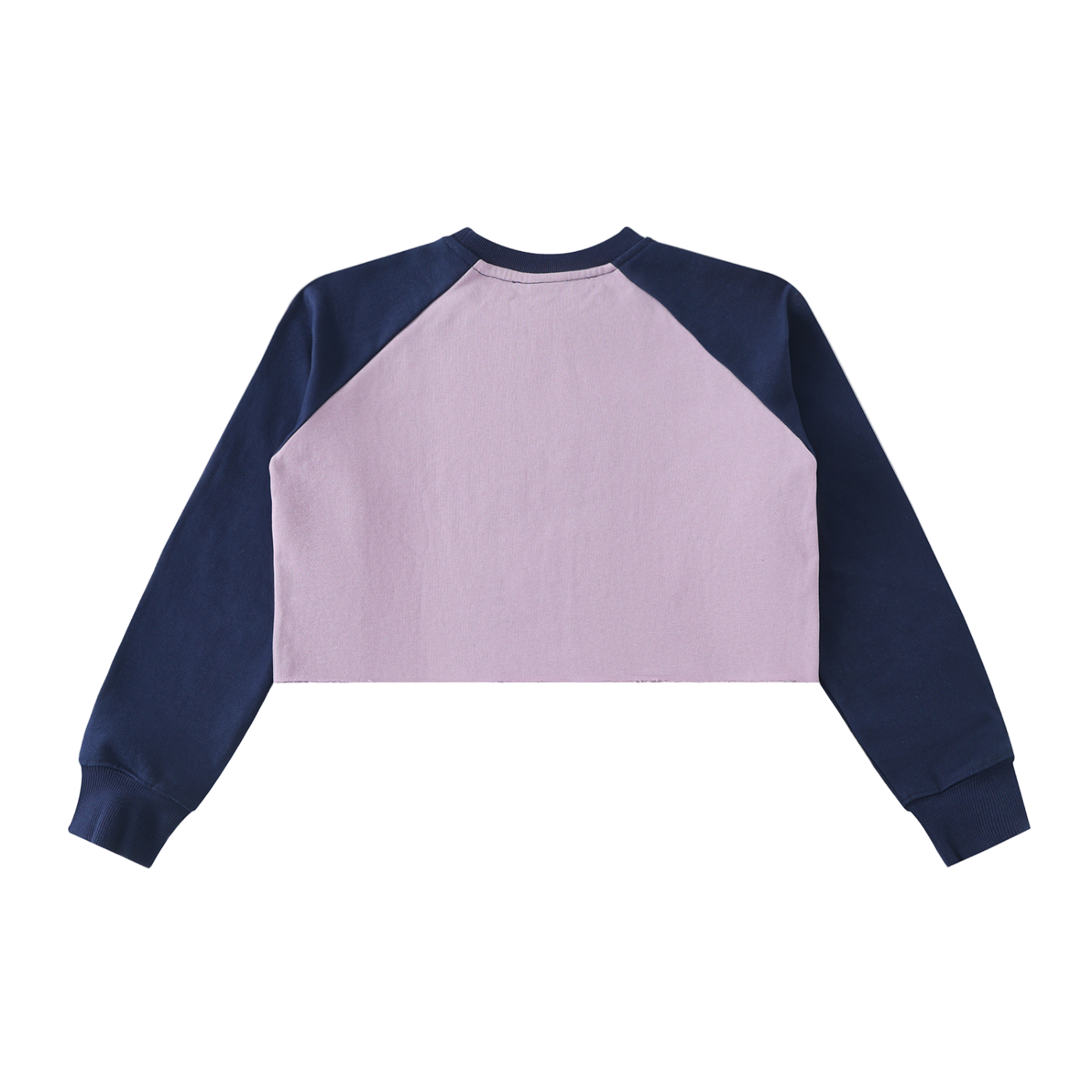Curse Mark Crop Sweatshirt