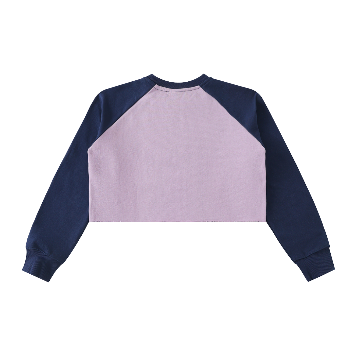 Chains of Hatred Crop Sweatshirt